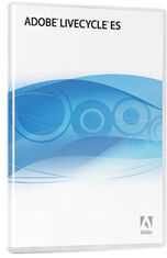 Adobe LiveCycle ES case.jpg