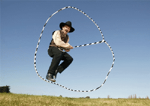 lasso tool adobe wiki fandom