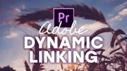 Adobe_Dynamic_Linking_101