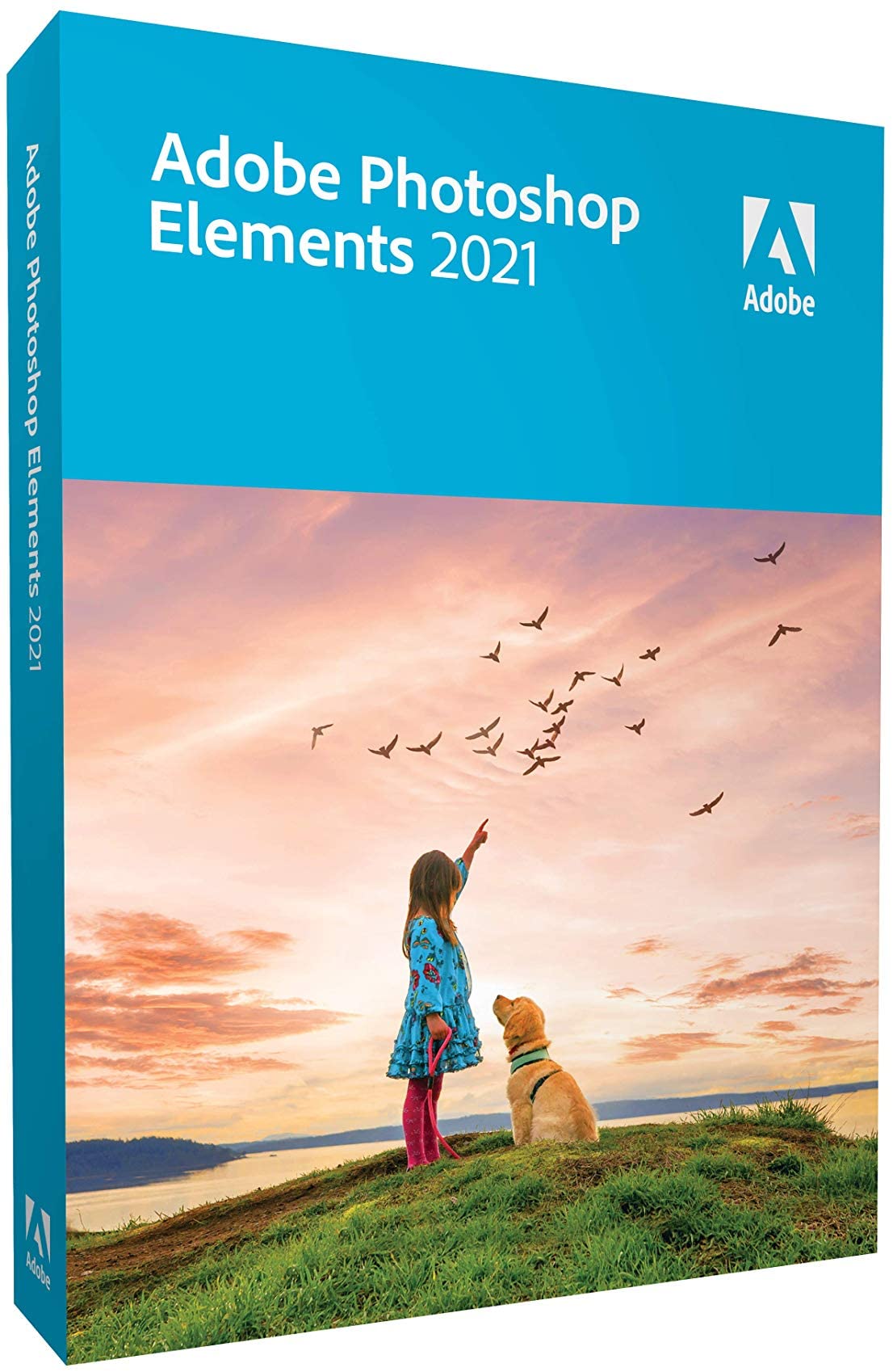 adobe photoshop elements 2021 adobe