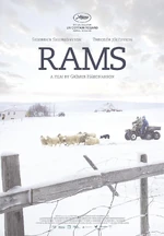 Rams-820102054-large.jpg (98 KB) Rams Día 9, 23:25