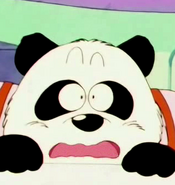 DB Panda Pai (106)