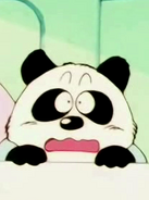 DB Panda fillo (106)