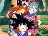 As bólas máxicas (Dragon Ball)