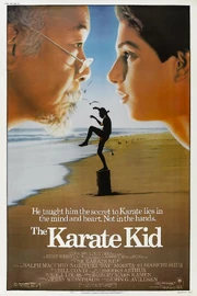 Karatekid84001