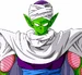 Piccolo jr