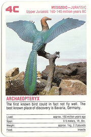 4C Archaeopteryx