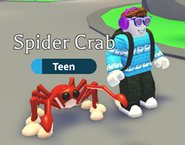 Spider Crab | Adopt Me! Wiki | Fandom