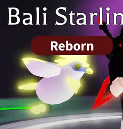 Bali Starling, Trade Roblox Adopt Me Items