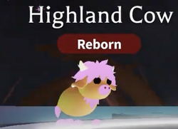 Roblox Adopt Me Trading Values - What is Highland Cow Worth