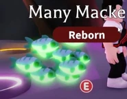 Neon Many Mackerel.jpg (25 KB) The Neon Many Mackerel.