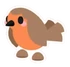 Robin Sticker