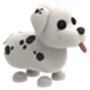 The Dalmatian