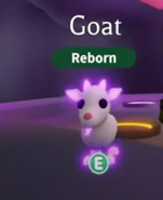 A Neon Goat