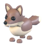 Coyote