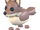 Coyote