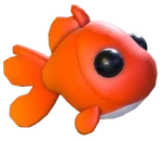 Goldfish