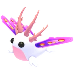 Sea Slug