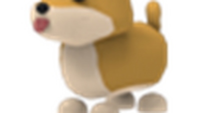 Shiba inu hotsell trade me