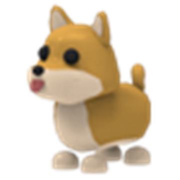Shiba Inu Adopt Me Wiki Fandom