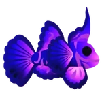 Singularity Pisces