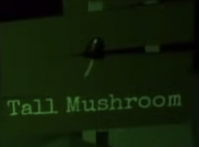 The Tall Mushroom on the instructions sign of the Potion Hunt Minigame.