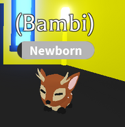 The Fallow Deer in-game.