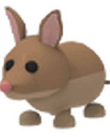 Bandicoot Adopt Me Wiki Fandom - roblox adopt me dog model