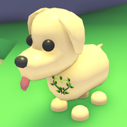 Eco Green Vine Badge on a Dog