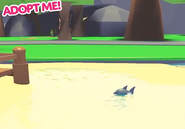Shark Teaser