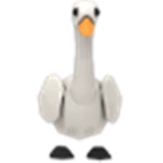 Swan
