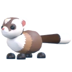 Black-Footed Ferret