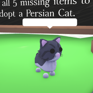 Adopt a persian cat cheap