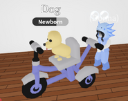 A player using the Trike Stroller (2022)