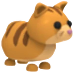 Ginger Cat