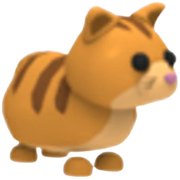 Ginger Cat Adopt Me Wiki Fandom - nyan cat roblox adopt me