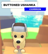 The Buttoned Ushanka as seen on a Dog.