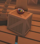 The Coconut Drink on display in the Rain Gift Shop.