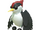 Pájaro carpintero