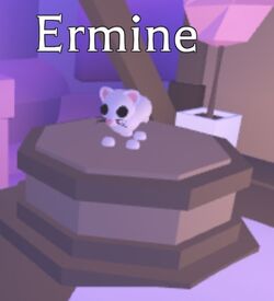 Adopt Me Ice Ermine Pet Name Ideas List - DigiStatement