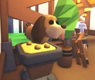 Bloodhound display.jpg (399 KB) The Bloodhound on display in the Accessory Shop.