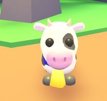 AMcowbelloncow