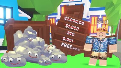 Pet Rock Adopt Me Wiki Fandom