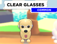 AM Clear Glasses