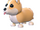 Corgi