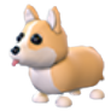 Corgi rescue hot sale near me