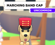 The Marching Band Cap on a Dog.