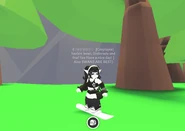 A player using the White Snowboard.