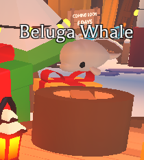 Beluga Whale, Adopt Me! Wiki