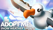 The Albatross on Adopt Me!'s thumbnail for the Snow Weather Update.